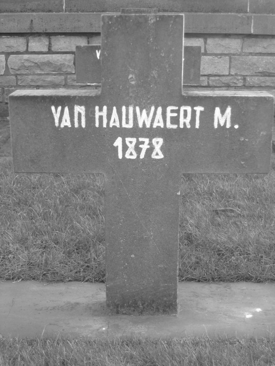  (vergroot foto)